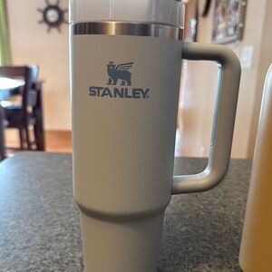 Silver Insulated Tumbler with Straw